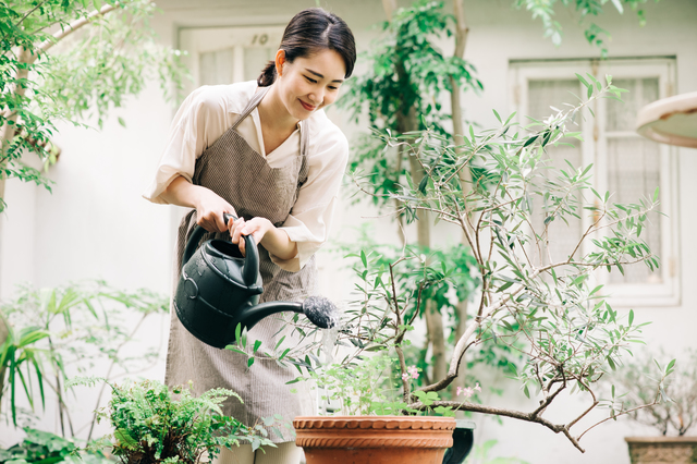 主婦必見 新築の庭でおしゃれにガーデニング 家庭菜園を楽しむポイントとは Iroha Ie