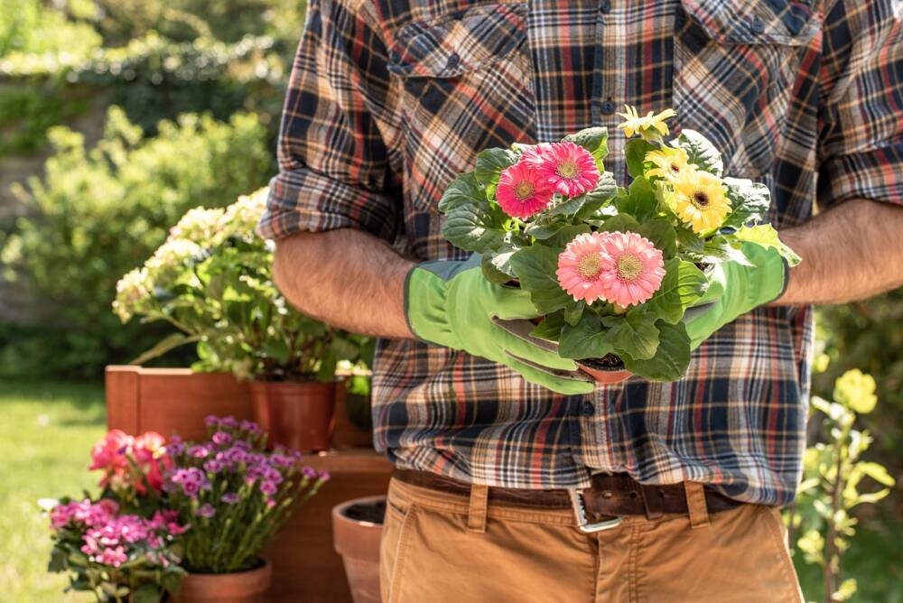軍手をつけて花の鉢植えを持つ人